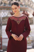 Picture of Gladiolus