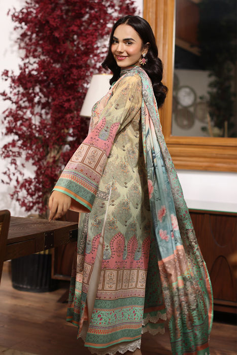 Delia Shirt and Dupatta