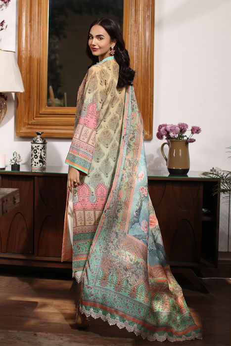 Delia Shirt and Dupatta